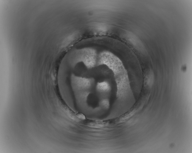 X0000093750661200710231233