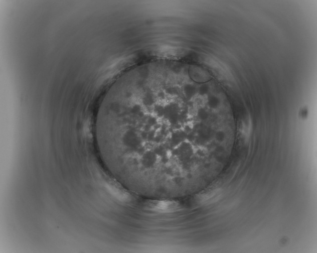 X0000093750663200710231233
