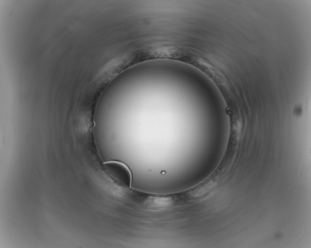 X0000093750665200710231233