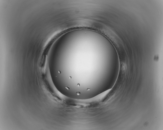 X0000093750676200710231233