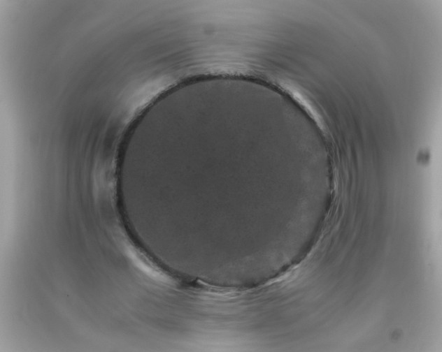 X0000093750677200710231233