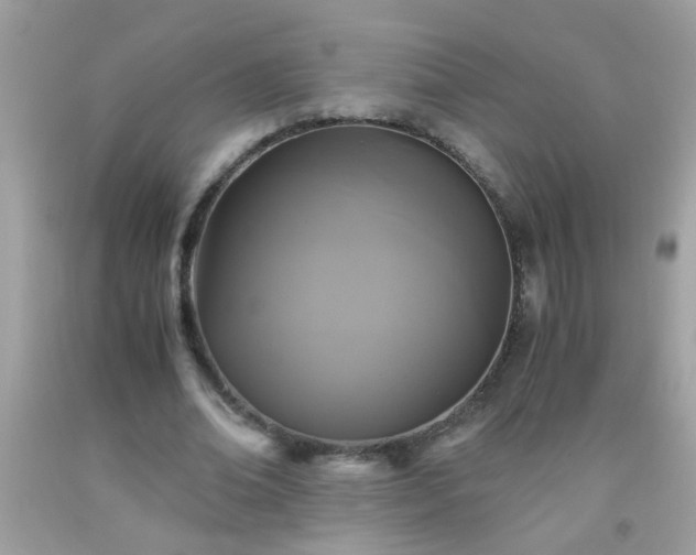 X0000093750678200710231233