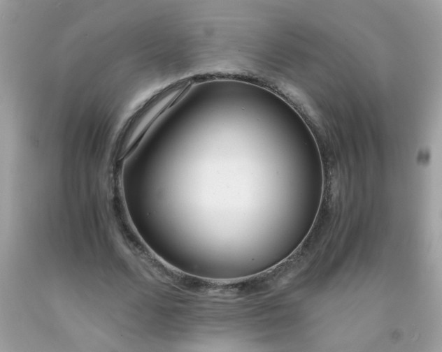 X0000093750680200710231233