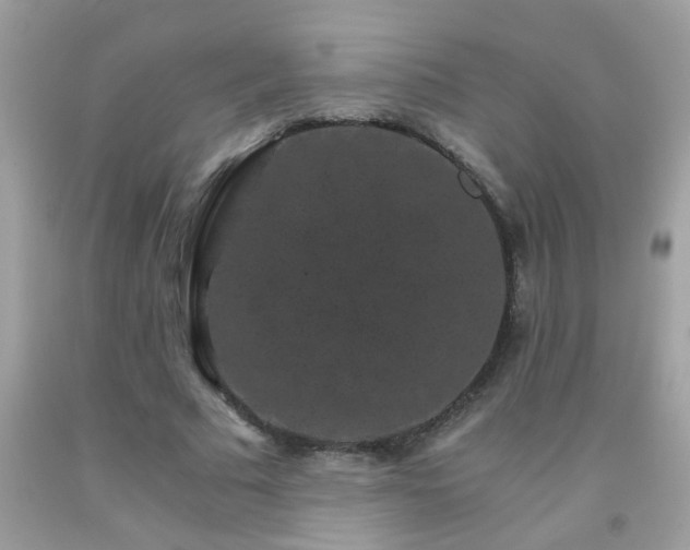 X0000093750681200710231233