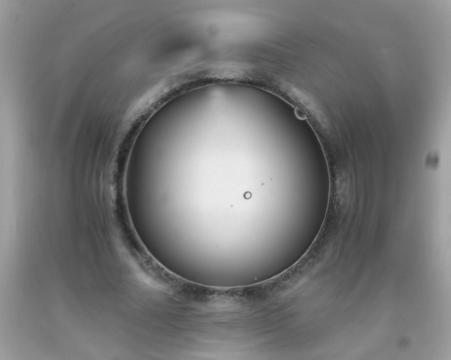 X0000093750682200710231233