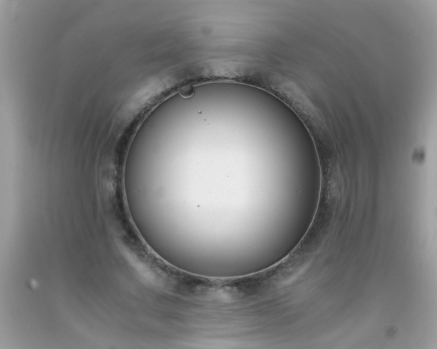 X0000093750683200710231233