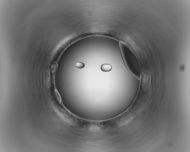X0000093750684200710231233