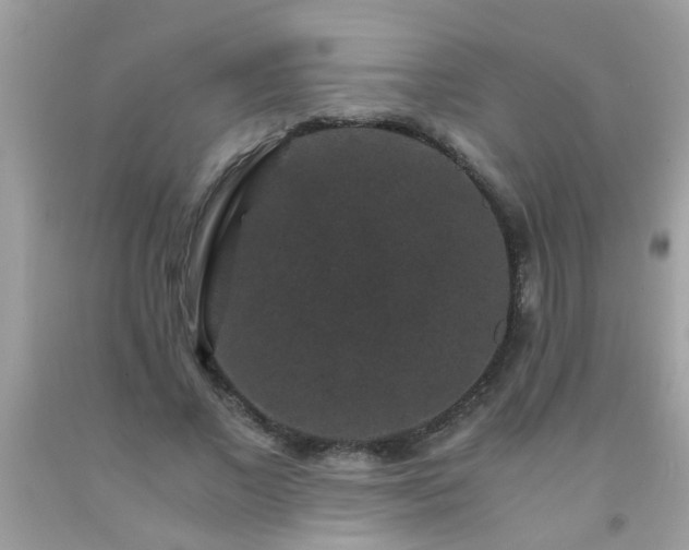 X0000093750685200710231233