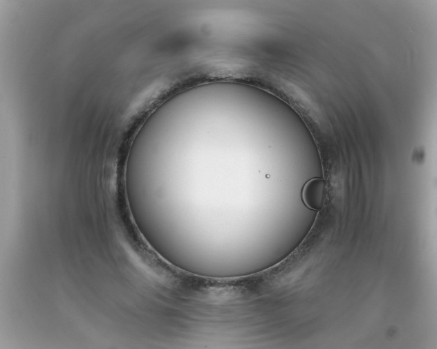 X0000093750686200710231232