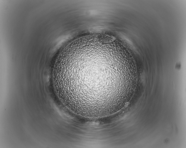 X0000093750687200710231232