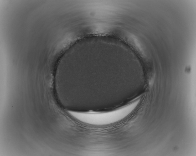 X0000093750689200710231232