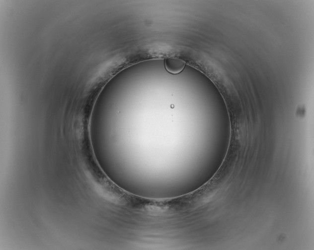 X0000093750690200710231232