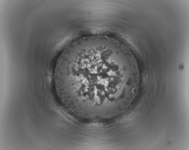 X0000093750691200710231232