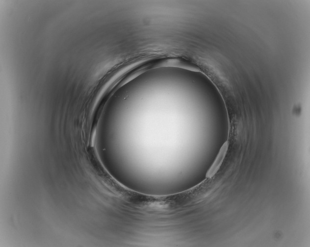 X0000093750692200710231232