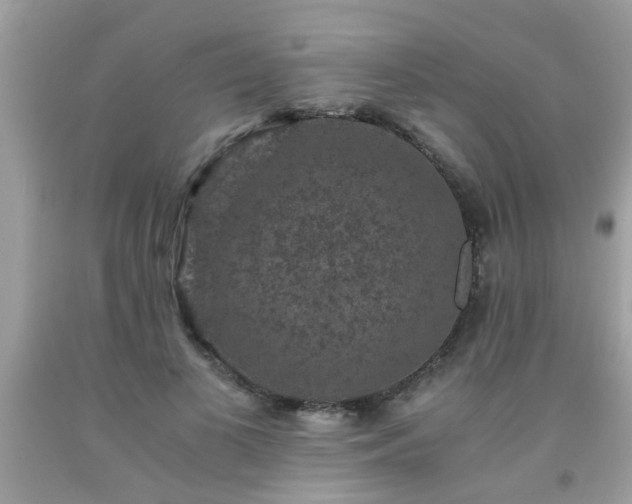 X0000093750693200710231232