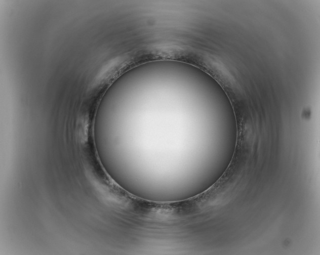 X0000093750694200710231232
