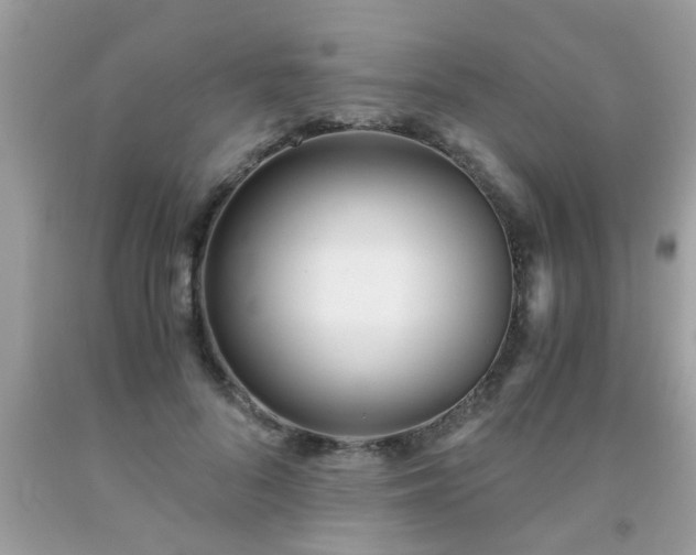 X0000093750696200710231232