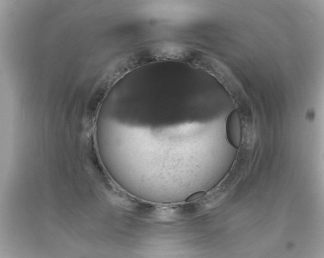X0000093750701200710231232