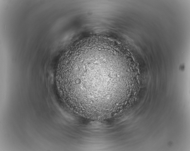 X0000093750703200710231232