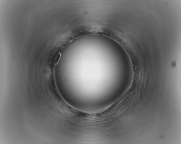 X0000093750704200710231232