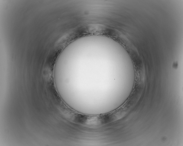 X0000093750705200710231232