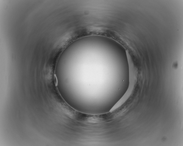 X0000093750708200710231232