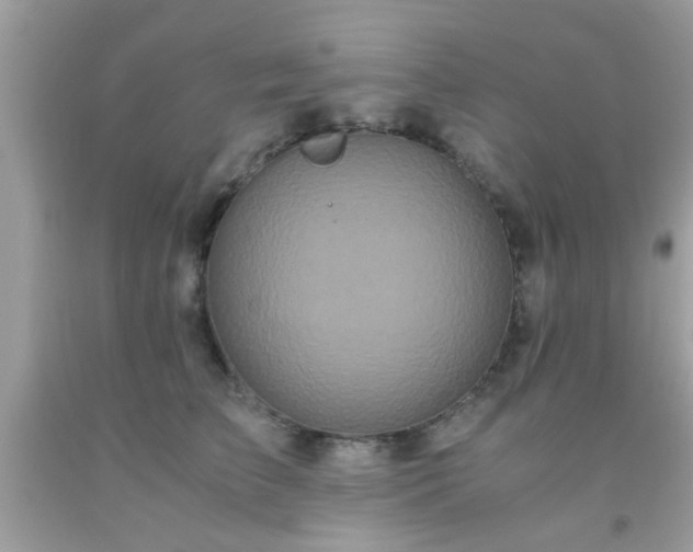 X0000093750709200710231232
