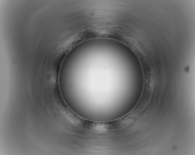 X0000093750710200710231232