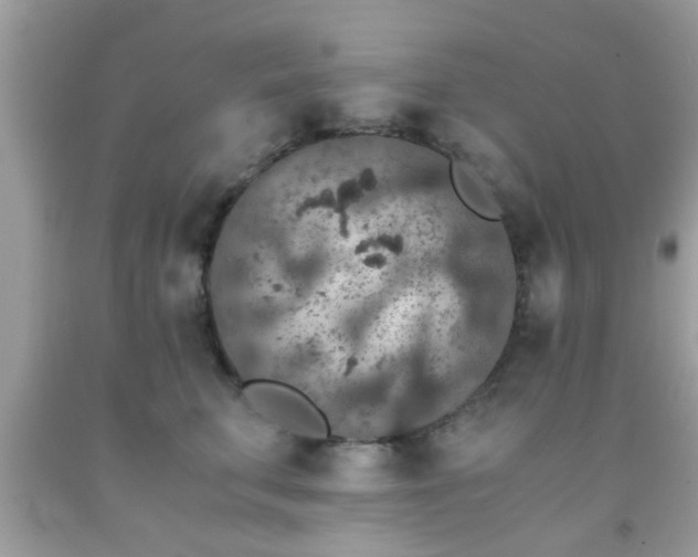 X0000093750711200710231232