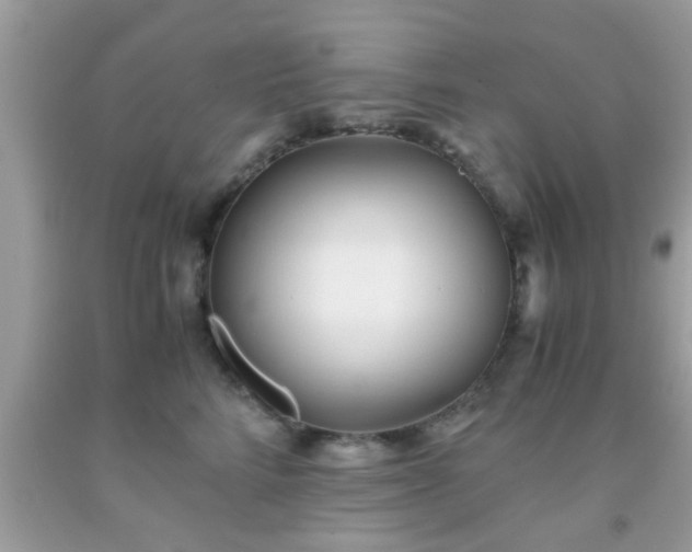 X0000093750712200710231232