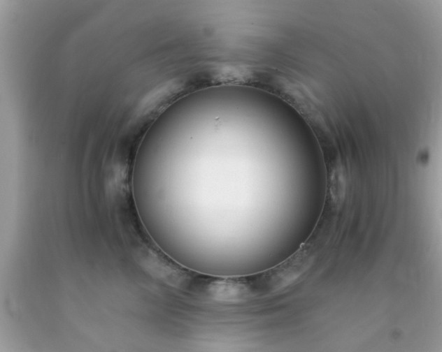X0000093750714200710231232