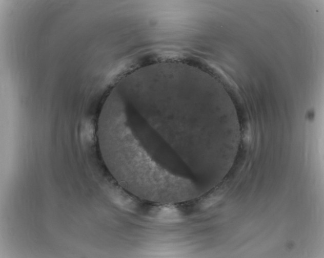X0000093750715200710231232