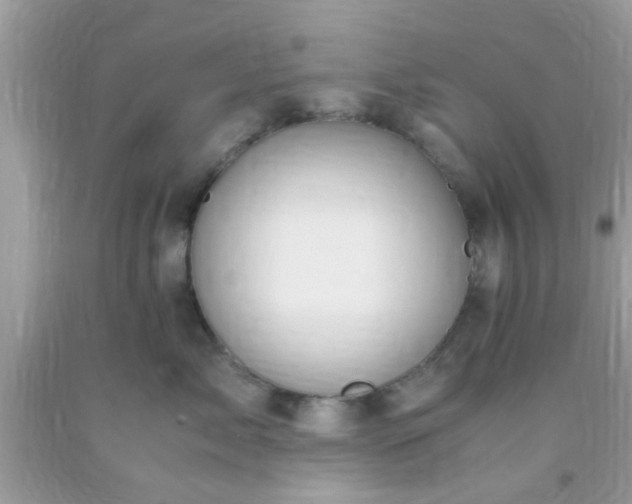 X0000093750717200710231232