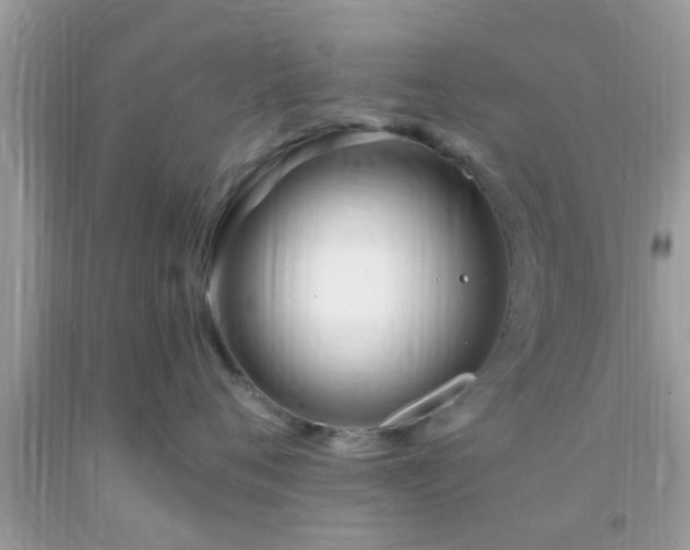 X0000093750720200710231232