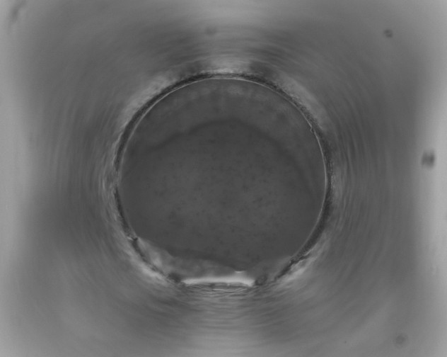 X0000093750721200710231231