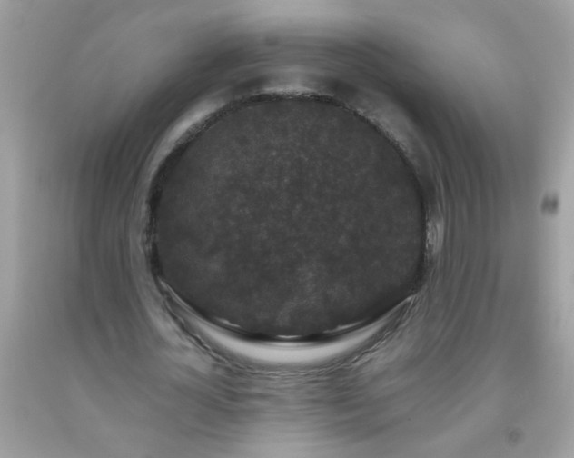 X0000093750724200710231232