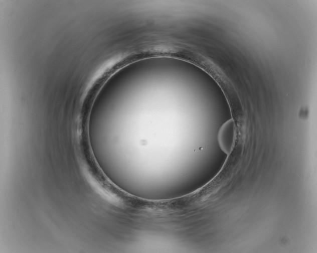 X0000093750726200710231232