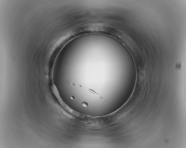 X0000093750727200710231232