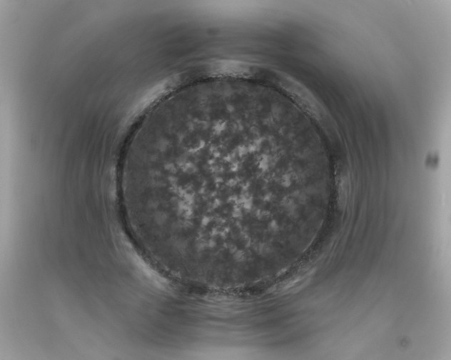 X0000093750729200710231232
