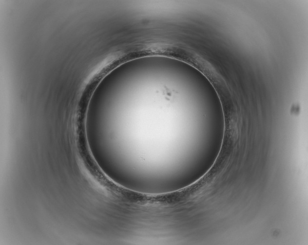 X0000093750730200710231232