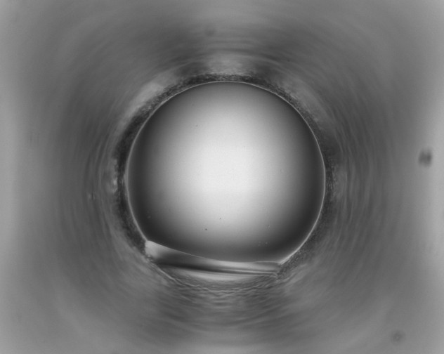 X0000093750731200710231232