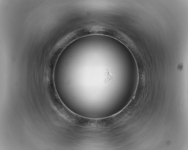 X0000093750732200710231232