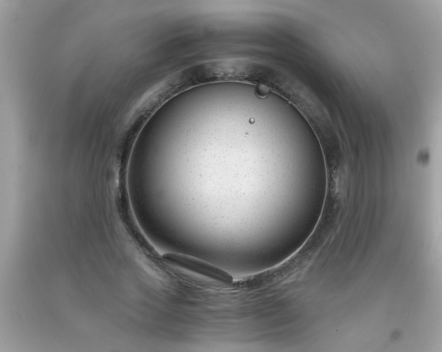 X0000093750733200710231232