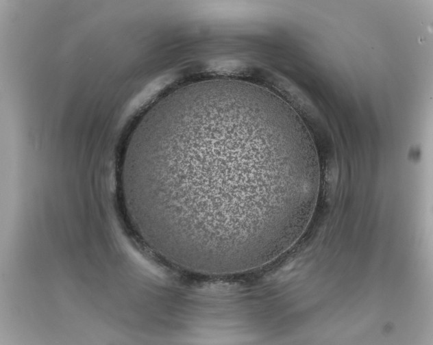 X0000093750734200710231232