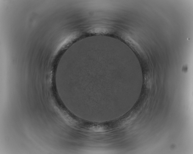 X0000093750735200710231232