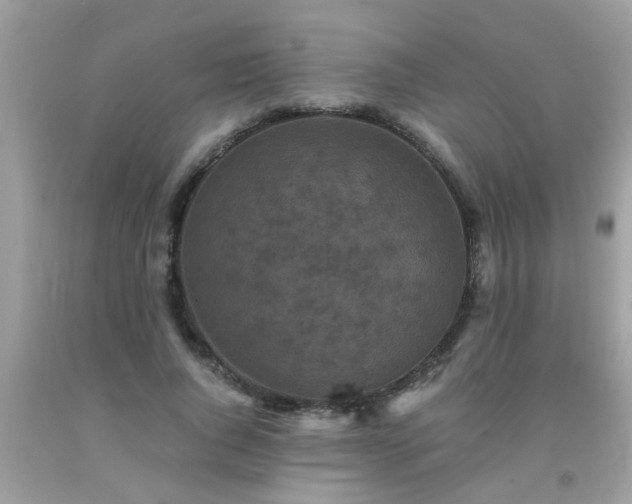 X0000093750736200710231232