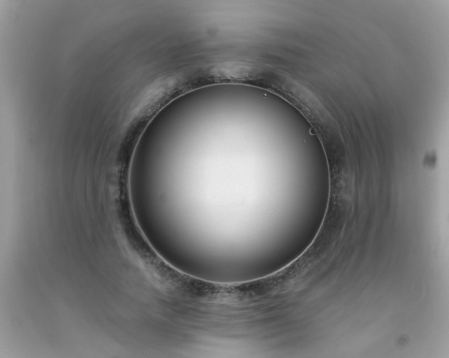 X0000093750738200710231232