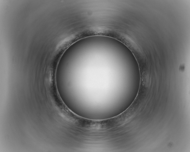 X0000093750740200710231232