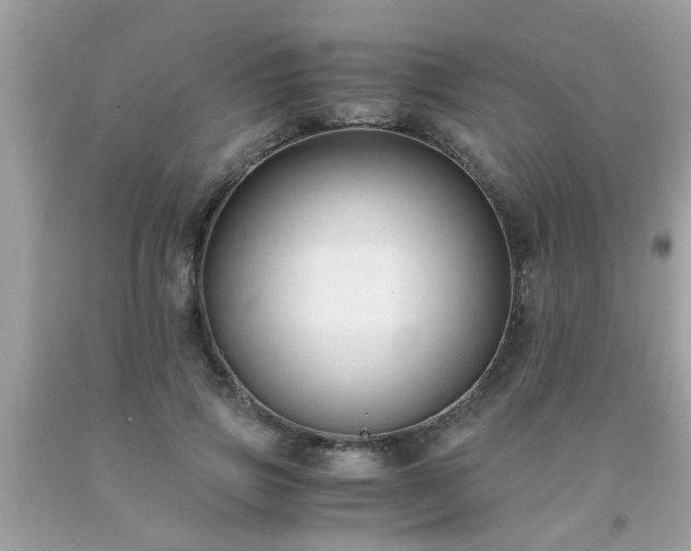 X0000093750741200710231232