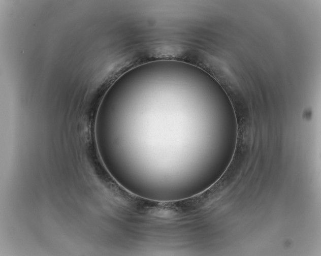 X0000093750743200710231232